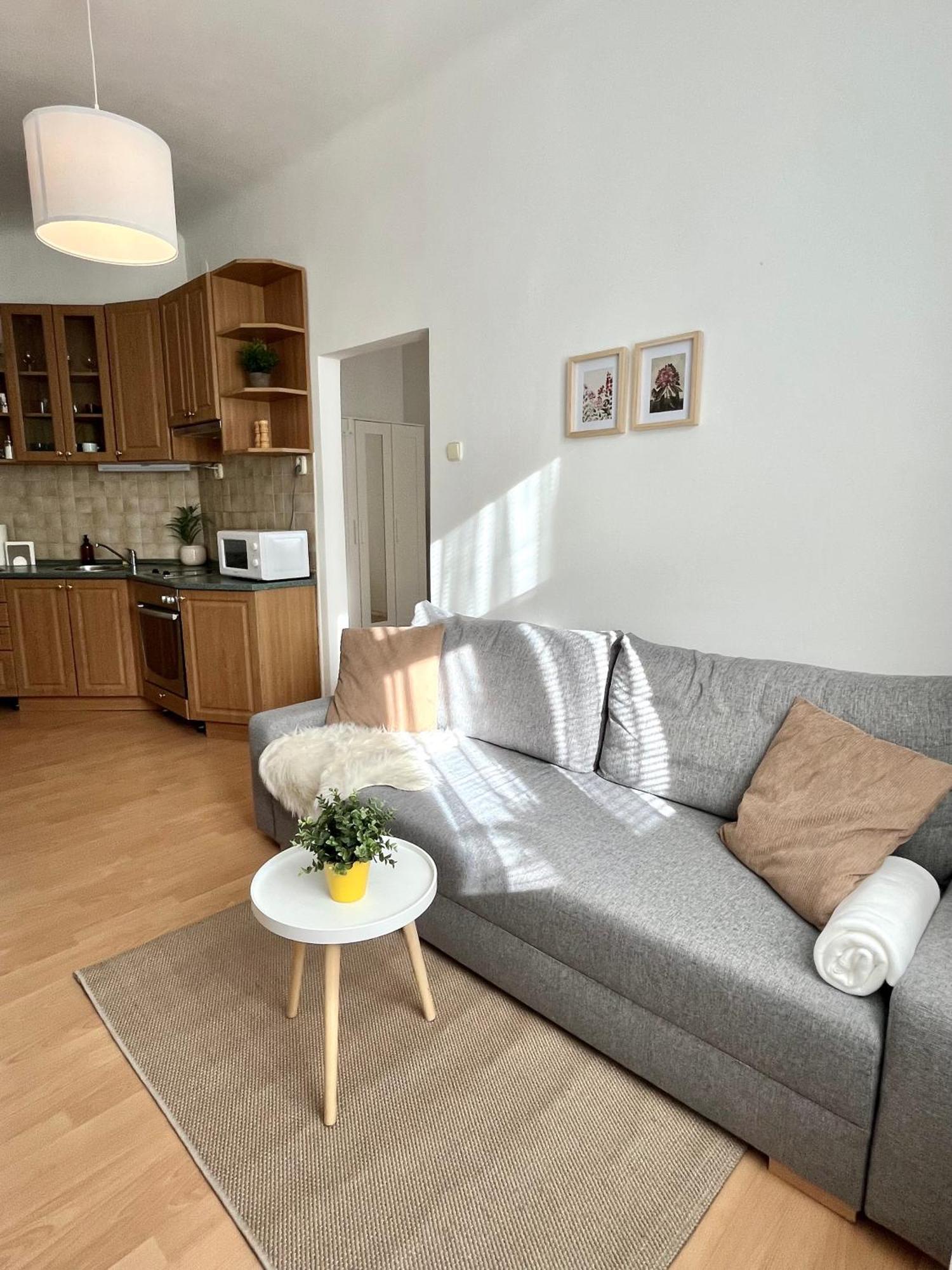 Apartment Caroline - Old Town, Ac 布拉迪斯拉发 外观 照片