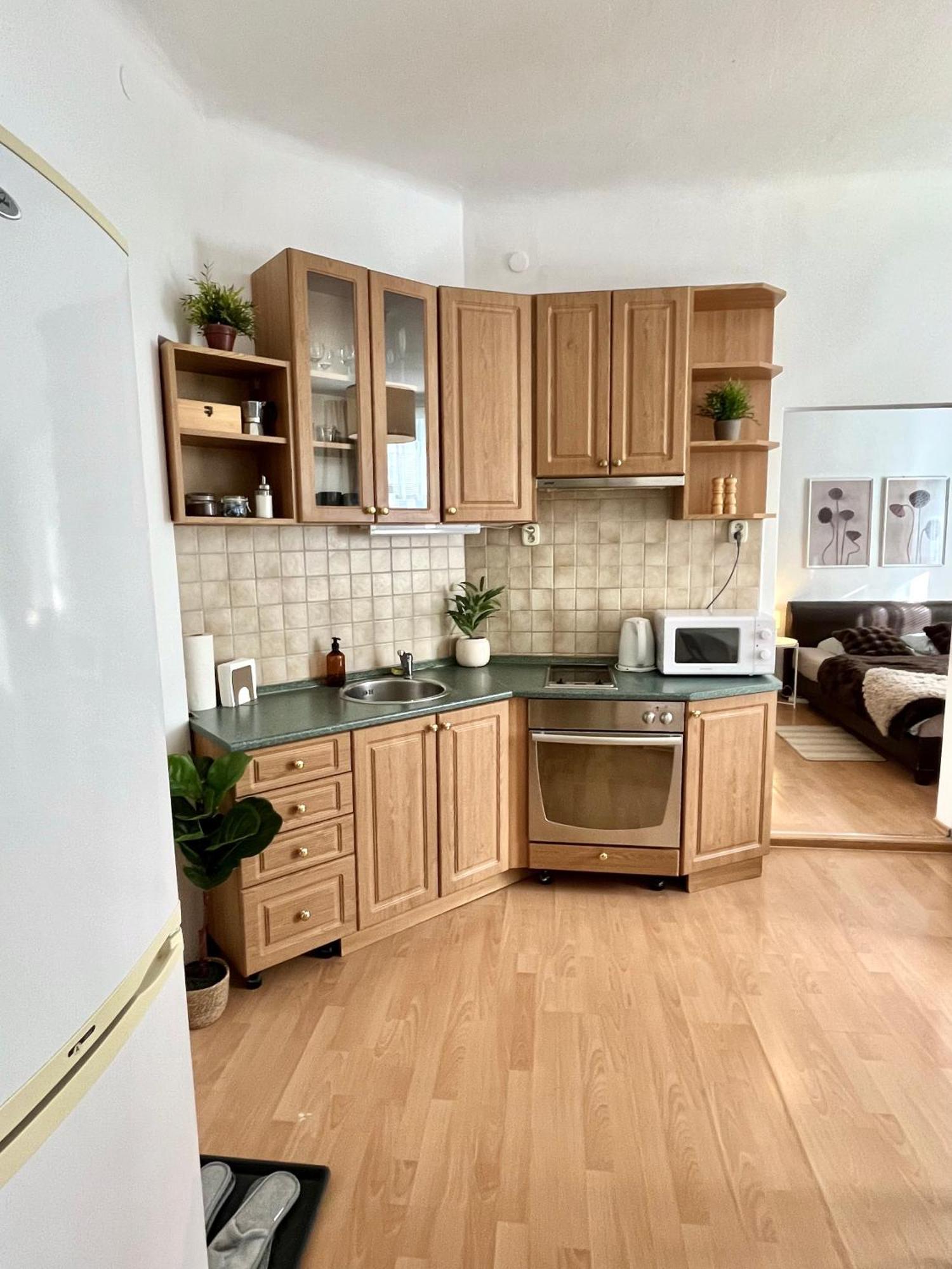 Apartment Caroline - Old Town, Ac 布拉迪斯拉发 外观 照片